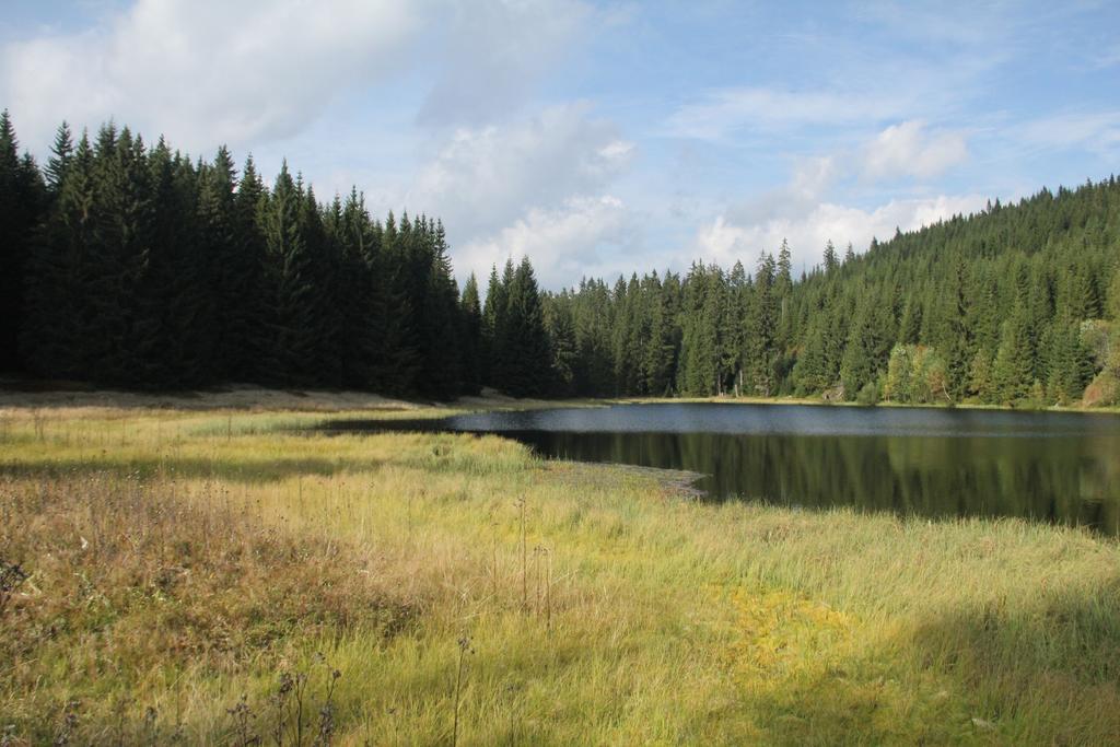 Nova Lake * Nova Pec